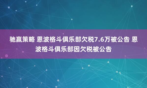 驰赢策略 恩波格斗俱乐部欠税7.6万被公告 恩波格斗俱乐部因欠税被公告
