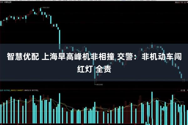 智慧优配 上海早高峰机非相撞 交警：非机动车闯红灯 全责