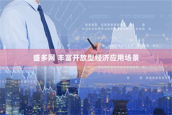 盛多网 丰富开放型经济应用场景