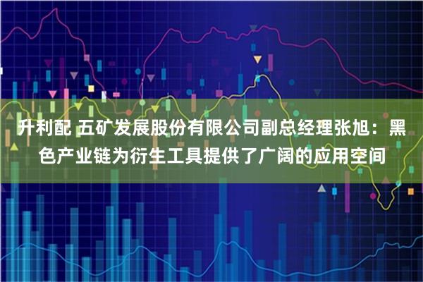 升利配 五矿发展股份有限公司副总经理张旭：黑色产业链为衍生工具提供了广阔的应用空间